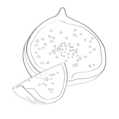 Fig fruit black and white