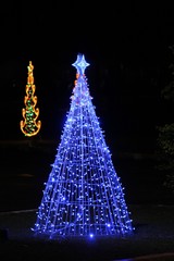 Wide shot of a Chirstmas tree lit by blue lights