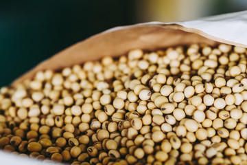 Grain de céréales dans un sac en papier