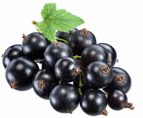 Ripe blackcurrant branch with green leaf on the white background.