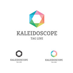 Kaleidoscope Comb Logo  Flat design of logo, with colorful kaleidoscope palette, could be used in many different categories, any company or organization.  - obrazy, fototapety, plakaty