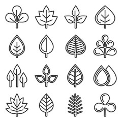 Leaf Icons Set on White Background. Line Style Vector