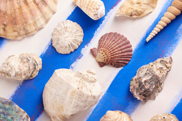 Colorful sea shells of various shapes on a background of blue, white, marine, Greek stripes
