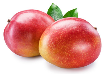 Two whole mango fruits with mango leaf on a white background. Clipping path.