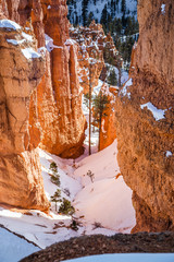 Bryce Canyon National Park in Winter covered with snow