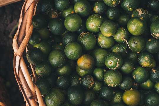 Basket full of organic unripe and ripe Calamansi or kalamansi AKA calamondin or Philippine lime. This food aids digestion and weight loss. Copy space. Selected focus.
