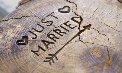 Just married. An inscription on a cut of a tree for a wedding decoration. Handmade decorative board on oak. Photo for your invitation design.