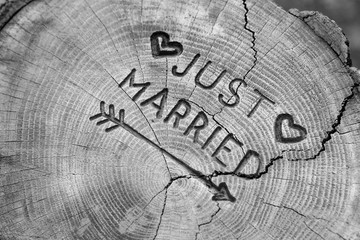 Just married. An inscription on a cut of a tree for a wedding decoration. Handmade decorative board on oak. Photo for your invitation design.