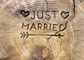 Just married. An inscription on a cut of a tree for a wedding decoration. Handmade decorative board on oak. Photo for your invitation design.