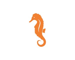 Fototapeta premium seahorse vector icon illustration design
