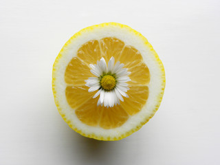 closeup lemon cutaway on a white background