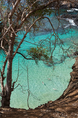 View of the paradisiacal Sancho beach in Fernando de Noronha