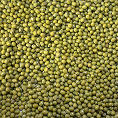 Soy green peeled on a white isolated background. Soybean food delicious for your design for the site. kitchen theme