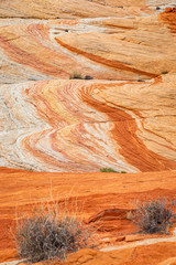 The Fire Wave in Valley of Fire State Park, a sandstone formation that resembles an ocean wave with swirling patterns of red, white, and pink sandstone