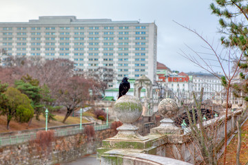 raven standing on the concrete decorative sphere