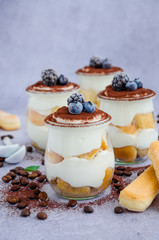 Gourmet Italian tiramisu dessert in a glass sprinkled with cocoa and decorated frozen berries. Vertical orientation. Copy space