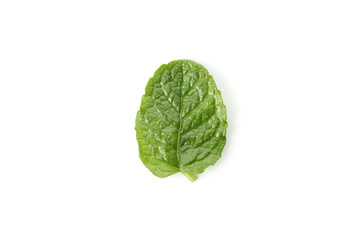 Fresh mint leaf isolated on white background