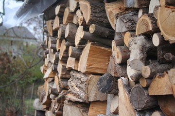 Large log store filled with firewood in the garden ready for winter season. Woodpile on outdoors