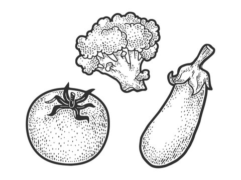 Fresh vegetables tomato eggplant broccoli sketch engraving vector illustration. T-shirt apparel print design. Scratch board imitation. Black and white hand drawn image.