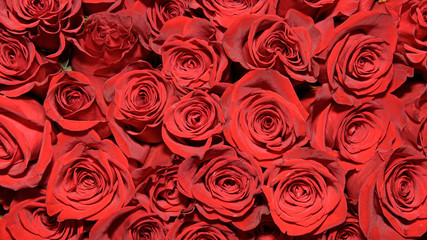 Background of bouquets of flowers. Roses. Design. Close up.