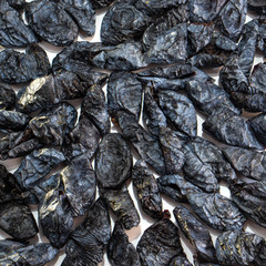 Prunes on a white isolated background. Food for your website design. kitchen theme cuisine and cooking