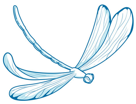 illustration in vectors of a dragonfly