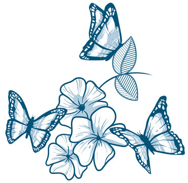 Fototapeta illustration in butterfly vectors with flowers