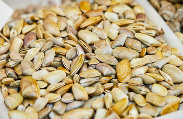 fresh clams in market stall