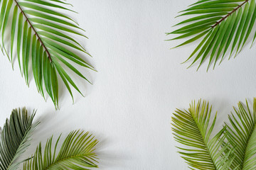 Tropical bright colorful background with exotic tropical palm leaves. Minimal creative summer...