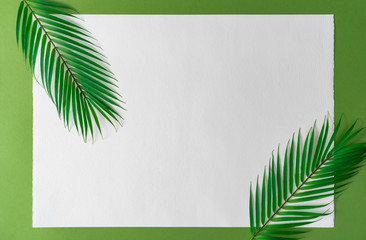 Tropical bright colorful background with exotic tropical palm leaves. Minimal creative summer concept. Flat lay.