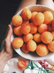 Ripe Apricot bowl in the girl`s hand. The girl is holding apricot bowl. Summer fruit harvest. Apricot harvest
