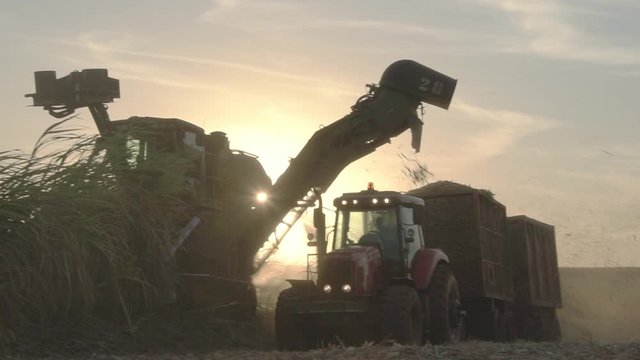 tractor and harvester on a sugar cane field 