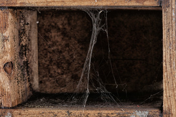 Wooden box catalog with cobwebs