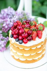 Homemade summer biscuit cake with cream and fresh berries in woman hands In the garden Lilac Soft focus