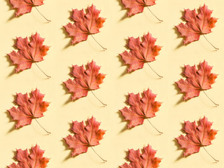 Seamless background with the red maple leaves on beige paper. Autumn foliage pattern