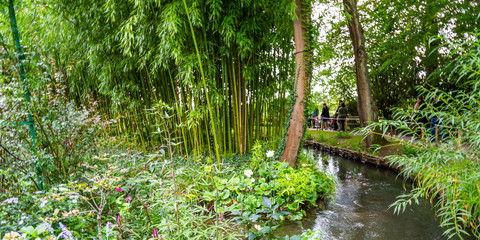 Monet’s bamboo plantation located on the small island at the entrance to the water garden in Giverny, France
