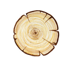 Watercolor Wooden Circle signboards, empty Blank isolated. Set of vintage old, retro Hand painted wood banners, planks, board. Signs for messages pathfinding. Illustration with space for text