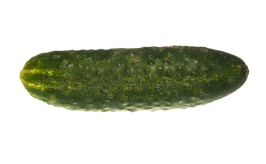 cucumber isolated on white background