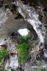 Crater above the ancient cave ceiling Interesting natural attractions hidden in the forest