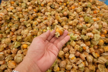 Cape Gooseberry, antioxidant fruit Sold by farmers market And according to the supermarket