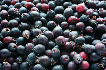 fresh blueberries on black background