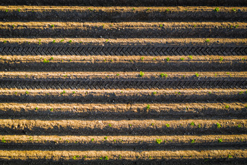 Nature background of.furrows in the field.