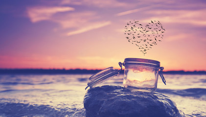 Liebe - Vogelschwarm am Strand