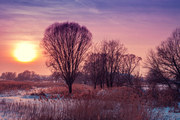 Fototapeta na wymiar Winter landscape. Evening in the countryside. Sunset with beautiful gradient sky in the field covered with snow. Rural landscape with magical light.