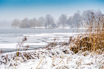 Uferböschung mit Schnee an der Alster in Hamburg mit Schilfgras und Bäumen im Winter und blauem...