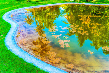 Reflection of coconut palm trees around the pond