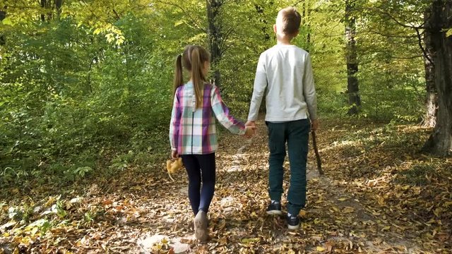 Two children walking holding hands in autumn forest with bright orange and yellow leaves. Dense woods in sunny fall weather.