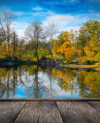 Fototapeta na wymiar Autumn colorful foliage over lake