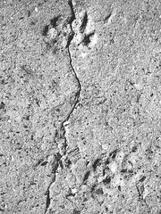 Distress grunge vector textures of fabric. Black and white background. EPS 8 illustration