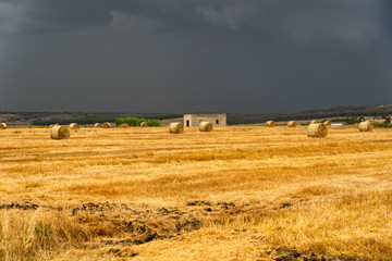 Fototapeta na wymiar Rural landscape in Apulia at summer